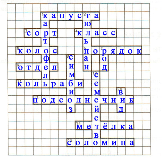 Решение рисунок 1