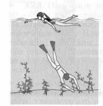 Задание рисунок 1