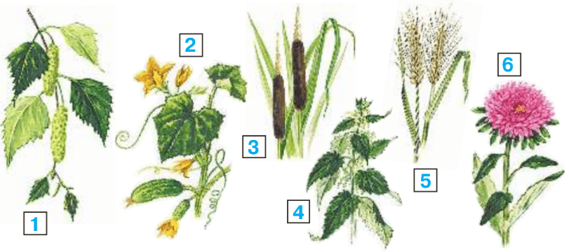 Задание рисунок 1