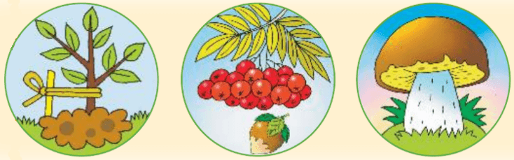 Задание рисунок 1