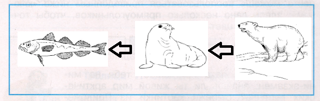 Решение рисунок 1