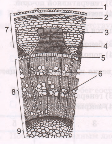 Задание рисунок 1