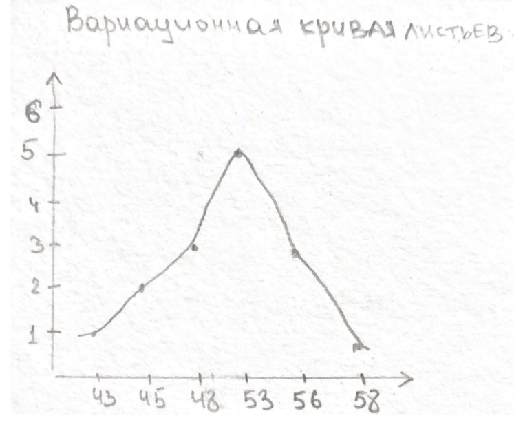 Решение рисунок 1
