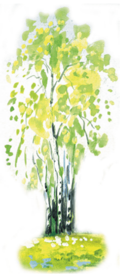 Задание рисунок 1