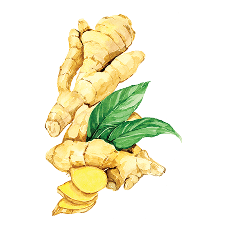 Решение рисунок 5