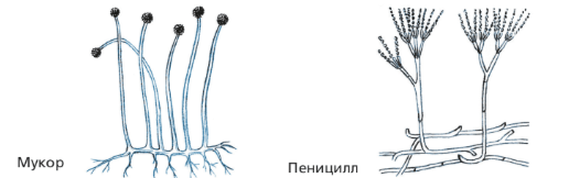 Решение рисунок 1